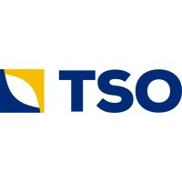 TSO logo