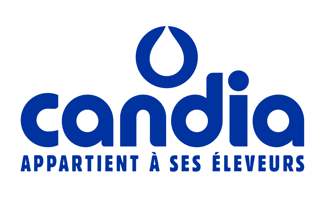 CANDIA logo